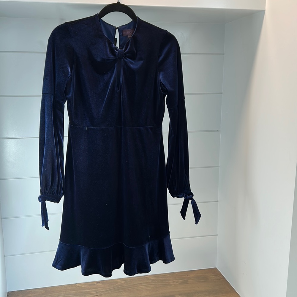Midnight blue velvet long sleeve dress